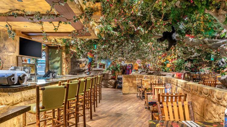 Rainforest Cafe